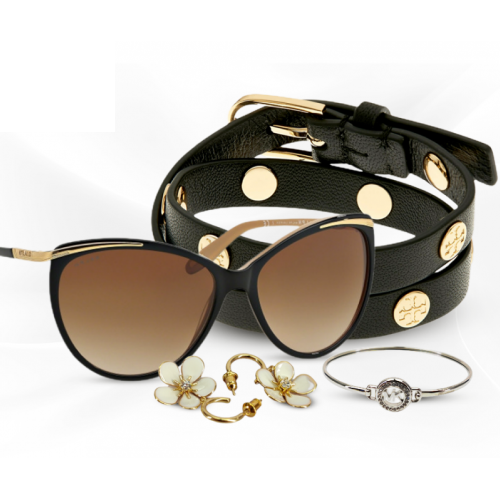 الاكسسوارات