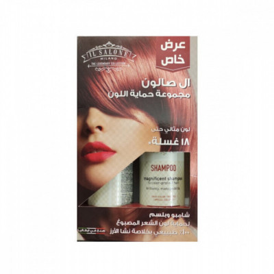 ال صالون - مجموعة حماية اللون شامبو و بلسم 500+500 مل