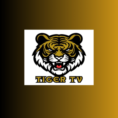 اشتراك تايقر ثلاث اشهر -تسليم فوري - Tiger Tv