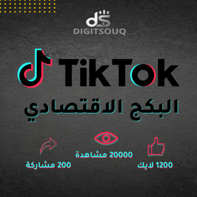 البكج الاقتصادي تيك توك